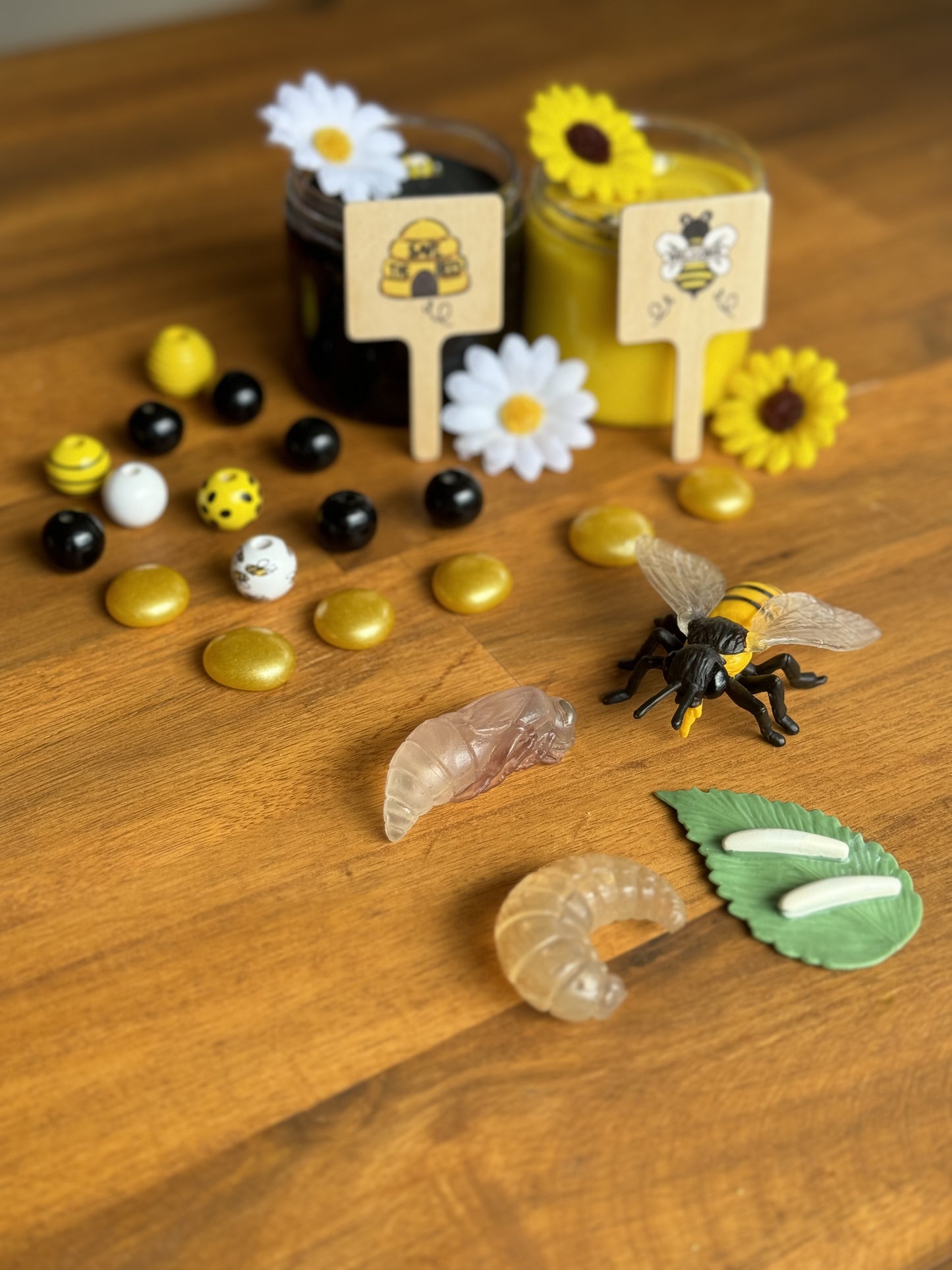 BEEVenture Collection